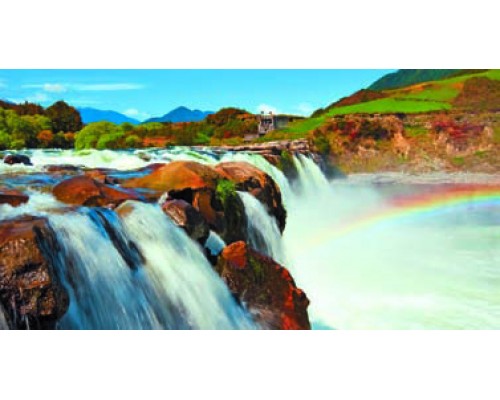 Desk Calendar DC14